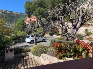 Villas VILLA above PORT MONACO : photos des chambres