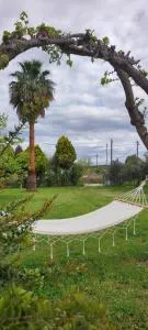 Dyada Home - Animborió