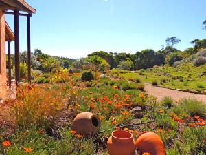 Casa dos Sonhos, private terrace, quiet location, walking to village, ecological pool, pets considered, nature friendly