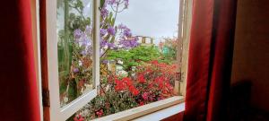 Habitación con dos camas, baño privado, terraza y cocina compartida en Miraflores