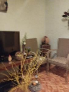 Apartament Zielona