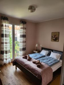 Apartment Bellavista with Amazing View