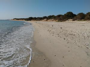 Podere Le Palme img22