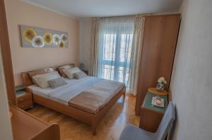 Apartman Gogina