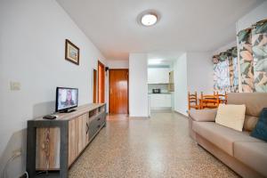 One bedroom Flat with shared pool in Acuarium II