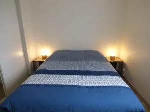 LES OISEAUX EN BAIE DE SOMME - Hurt