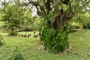 Cabañas Sierra Gorda
