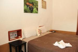 Cabañas Sierra Gorda