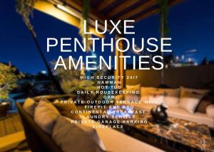 Luxurious Penthouse Oasis