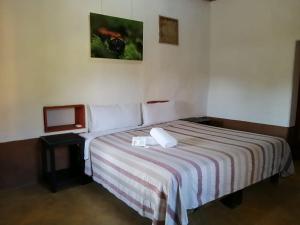 Cabañas Sierra Gorda