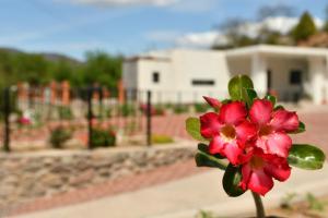 Casa de Cuatro Vientos