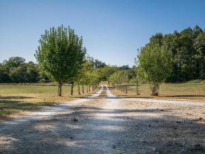 Maisons de vacances Le Gapard Annex : photos des chambres