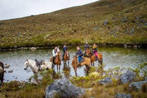 Acogedora Cabaña Chalet en Medio de la Naturaleza