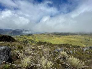 Acogedora Cabaña Chalet en Medio de la Naturaleza