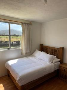 Floresta Casa de Campo