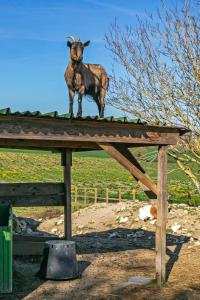 B&B / Chambres d'hotes Domaine de Rambeau : photos des chambres