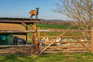 Lieu-dit Rambeau, 47620 Castelmoron-sur-Lot, France.