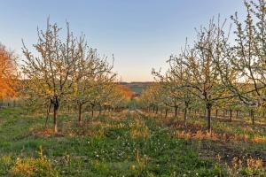 Lieu-dit Rambeau, 47620 Castelmoron-sur-Lot, France.