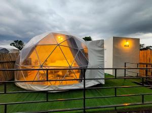Glamping hill khaoyai