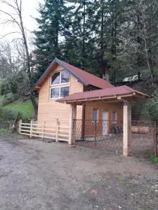 Rudnička čarolija - Mutanj