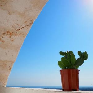 Casa Martina Ostuni