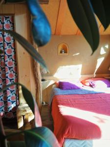 Lodges Ecolodge La Belle Verte : photos des chambres