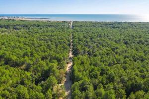 Maisons de vacances Au pied de la foret domaniale : photos des chambres