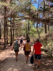 Maisons de vacances Au pied de la foret domaniale : photos des chambres