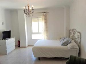 Estudio en Nueva Torrequebrada