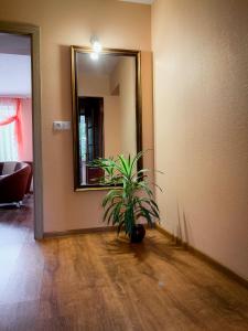 Brīvdienu māja"Ordziņas