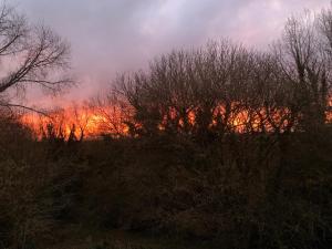 Domaine de la Blanche Hermine