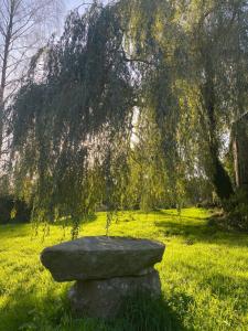 Domaine de la Blanche Hermine