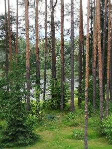 Sisaliku Puhkemaja saunaga