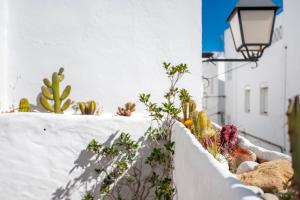 Casa de Romero - Solo familias