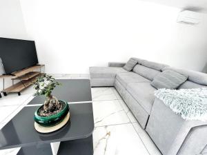 Appartements Bora-Bora T4 Neuf avec Terrasse : photos des chambres