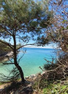 Apartment Second Home