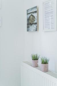 Modernes Appartement nahe U-Bahn und Schönbrunn