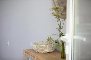 Green View Studios & Apartments