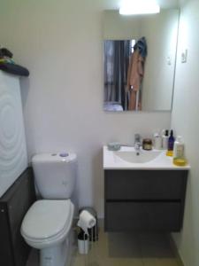 Studio de lorchidée