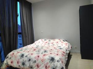 Studio de lorchidée