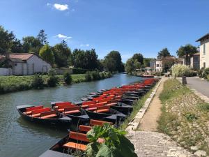 Maisons de vacances Gabae, Gite 3 personnes, jardin et piscine : photos des chambres