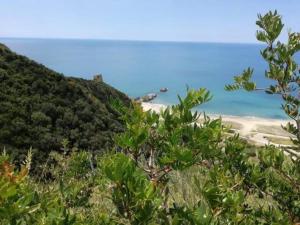 AsceaExperience Rooms