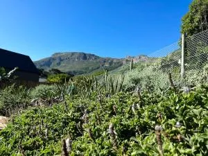 Stylish Garden Retreat - Good Hope