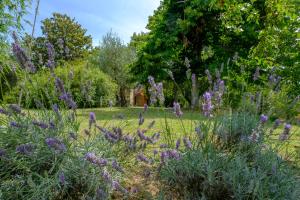 Umbria Country B&B