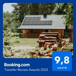 Duch Huszczy w środku sosnowego lasu - Kodeń