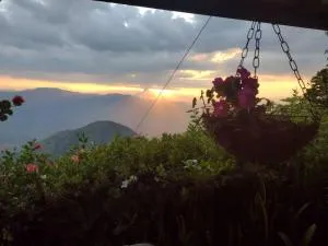 Finca Emilio - Versalles