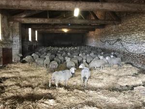 Maisons de vacances Studio a la ferme : photos des chambres