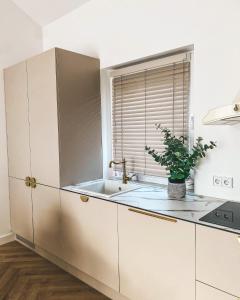 Genio apartamentai Kunigiskiuose