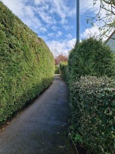 Maisons de vacances Le Pommier Normand : photos des chambres