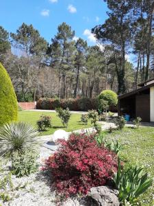 Maisons de vacances L'Oree des Landes : photos des chambres